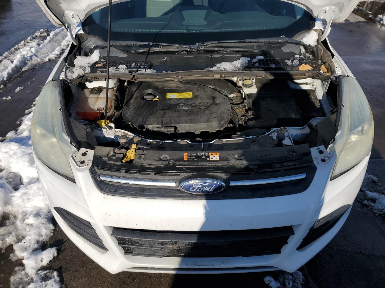 2014 Ford Escape Se VIN: 1FMCU0GX1EUD01800 Lot: 78978464