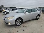 2011 Lexus Es 350 for Sale in Gaston, SC - Rear End