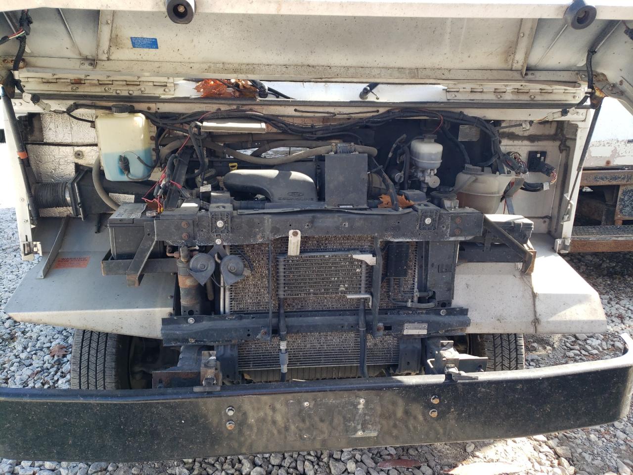 2019 Ford Econoline E450 Super Duty Commercial Stripped Chassis VIN: 1FC4E4KS0KDC31937 Lot: 78022804