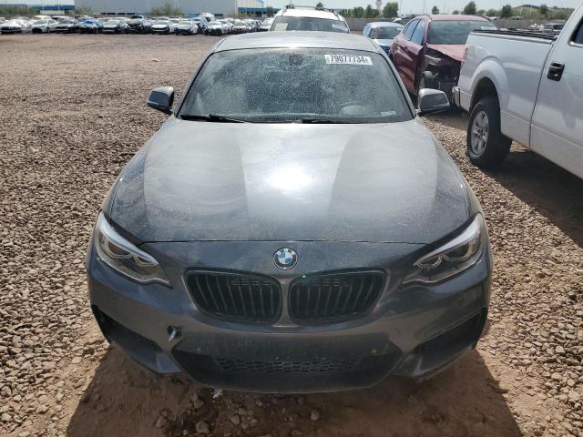 Coupet BMW M2 2014 Szary