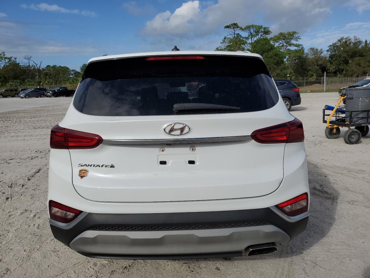 2019 Hyundai Santa Fe Se VIN: 5NMS23AD2KH107107 Lot: 78817244