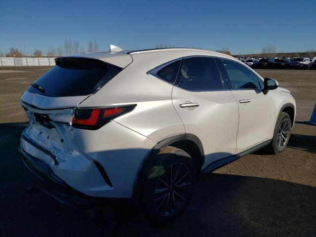 2023 LEXUS NX 250