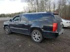 2011 CADILLAC ESCALADE ESV PREMIUM for sale at Copart ON - COOKSTOWN