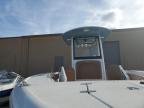 2024 Sea Ark Boat for Sale in Gaston, SC - All Over