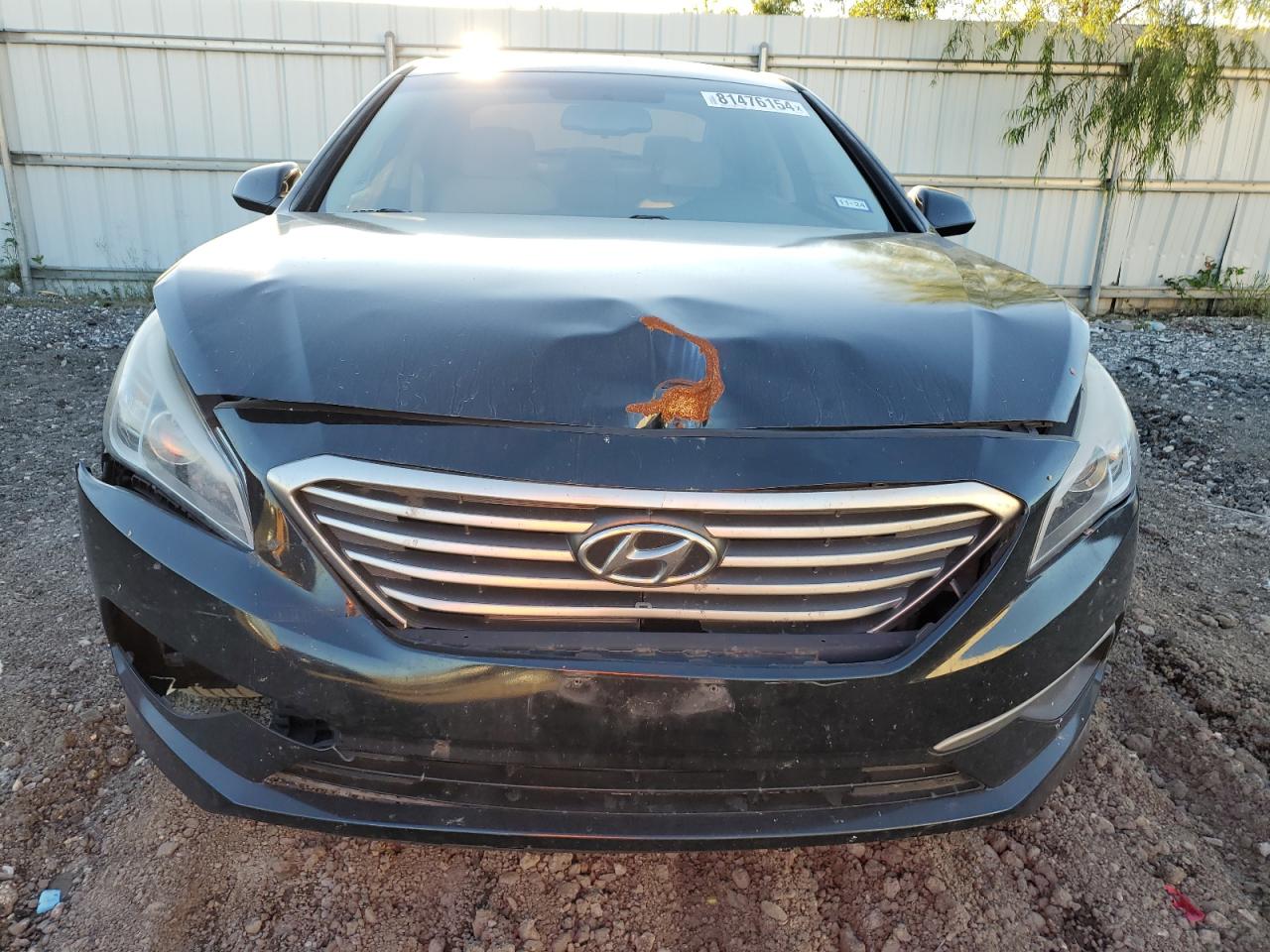 VIN 5NPE24AF6GH310483 2016 HYUNDAI SONATA no.5