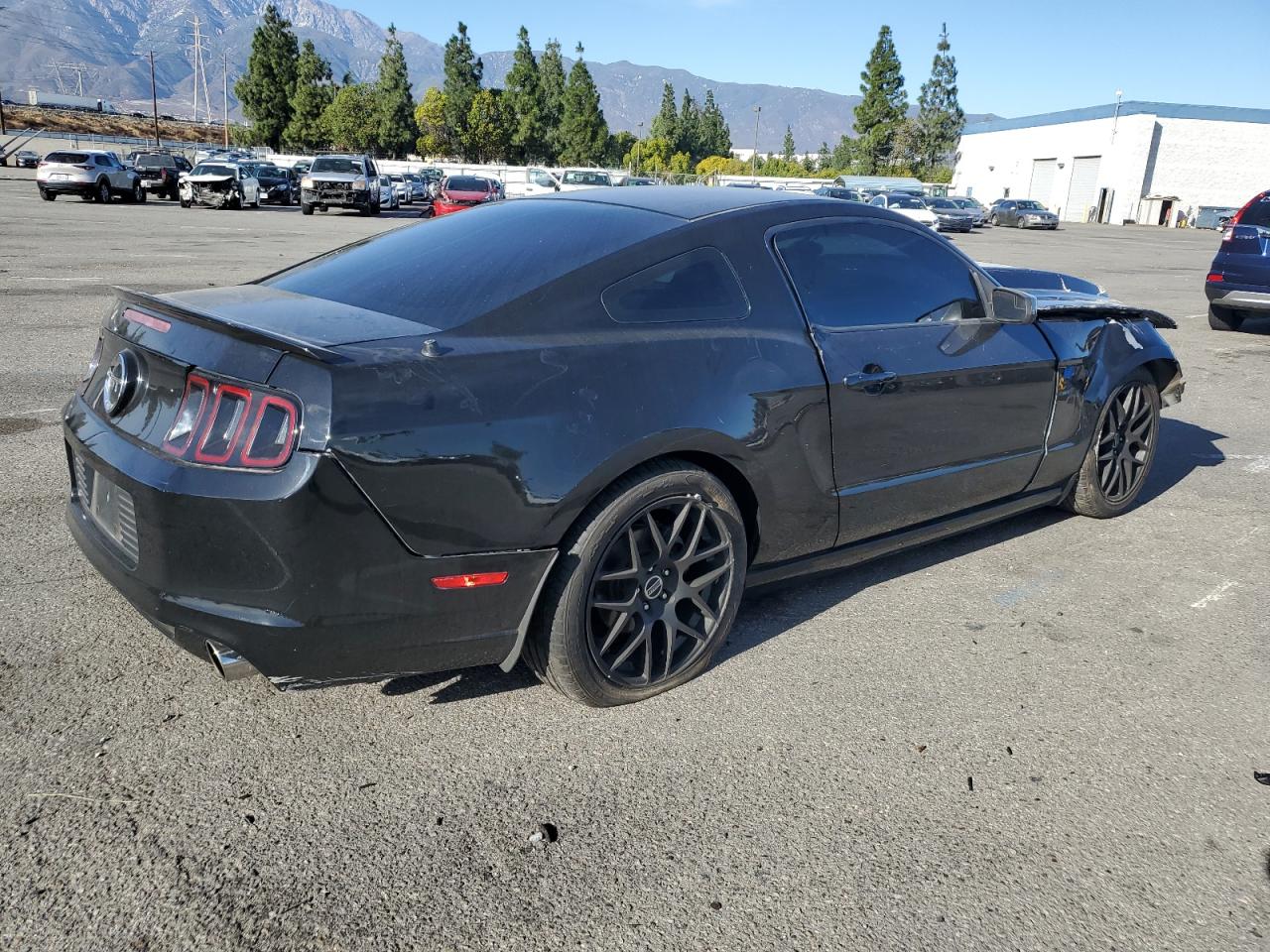 VIN 1ZVBP8CF1E5333625 2014 FORD MUSTANG no.3