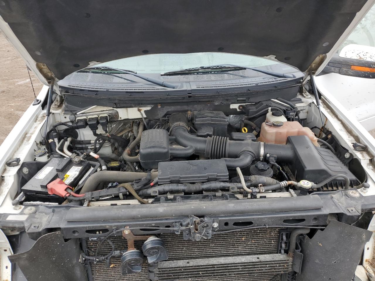2010 Ford F-150 - Image 13