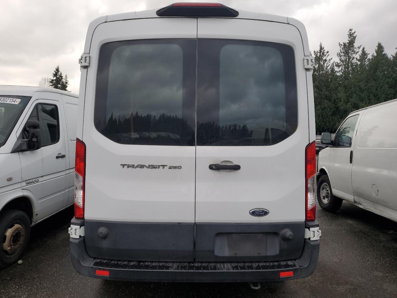 2019 Ford Transit T-250 VIN: 1FTYR2CM7KKB17195 Lot: 80149384