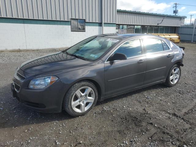  CHEVROLET MALIBU 2012 Серый