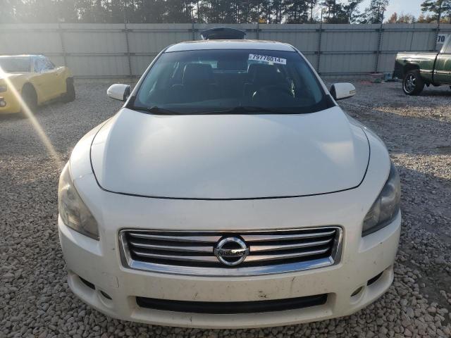 Sedans NISSAN MAXIMA 2014 White