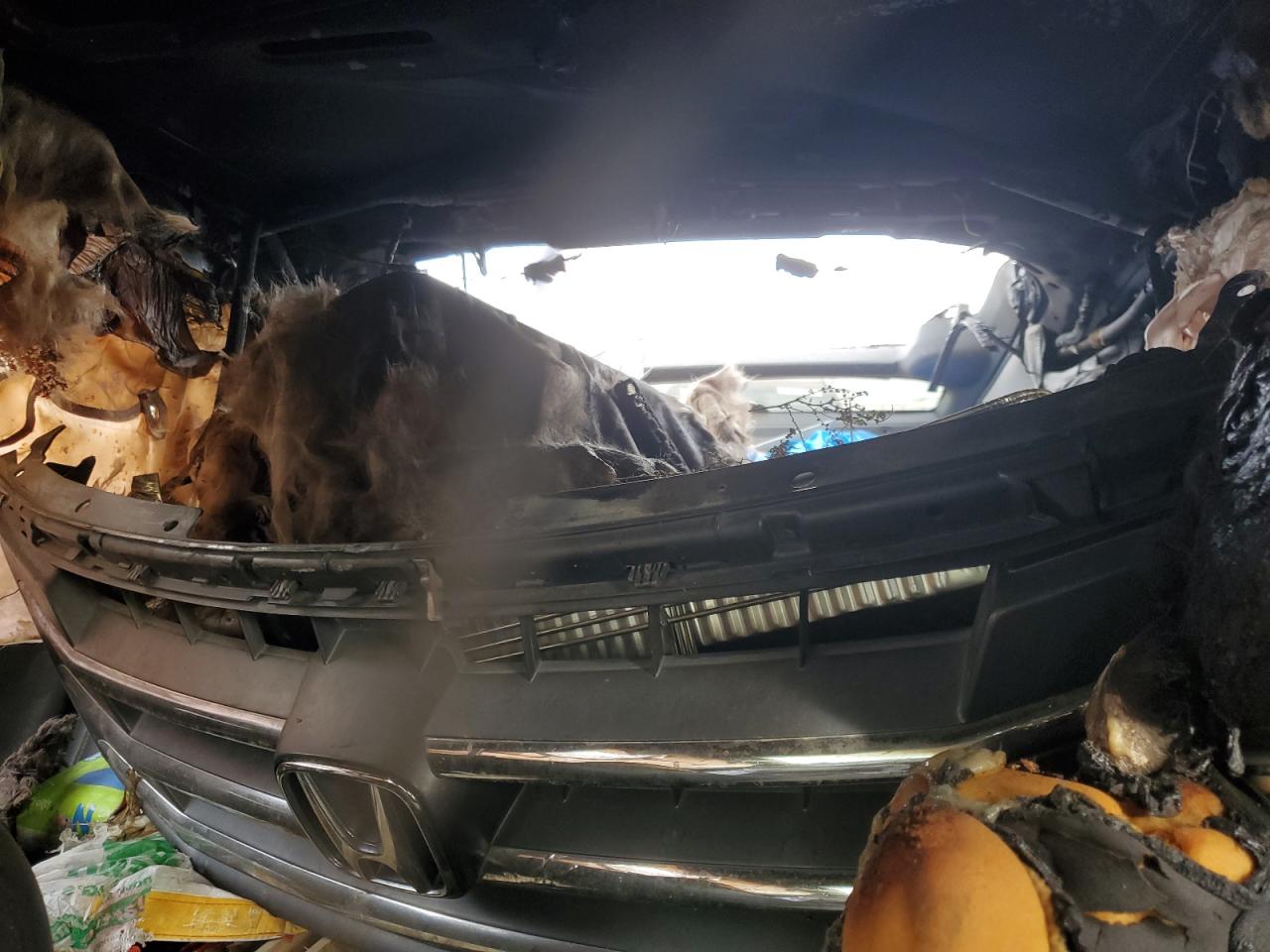 2012 Honda Crosstour Exl VIN: 5J6TF1H53CL001237 Lot: 79319404