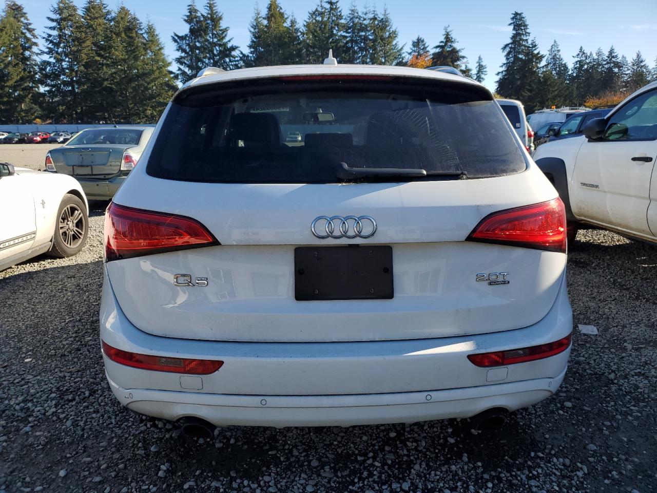 2013 Audi Q5 Premium Plus VIN: WA1LFAFP3DA100741 Lot: 79635324