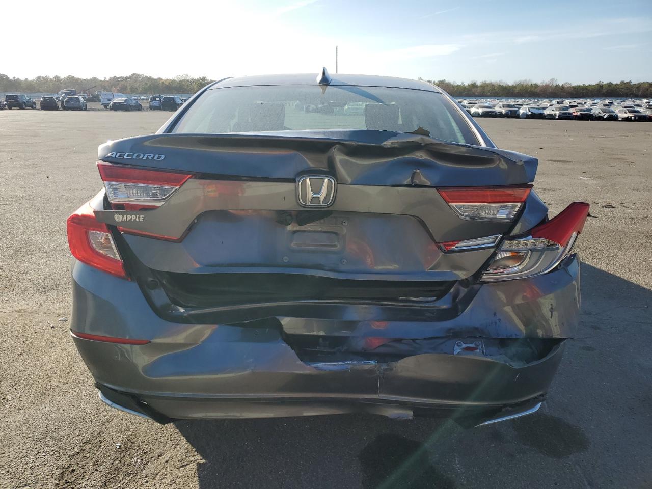 2020 Honda Accord Lx VIN: 1HGCV1F13LA064134 Lot: 79328674