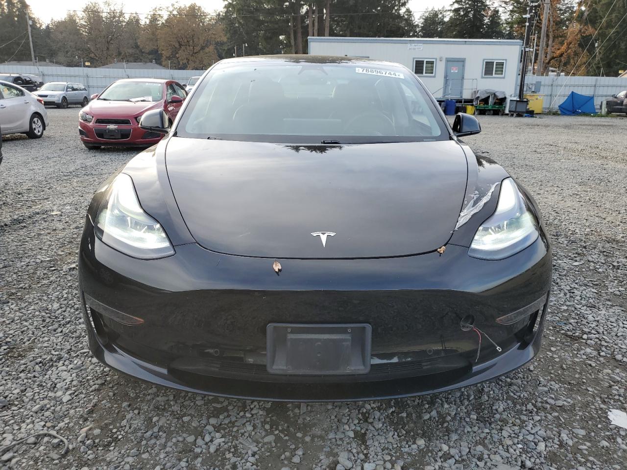 VIN 5YJ3E1EA6MF929509 2021 TESLA MODEL 3 no.5