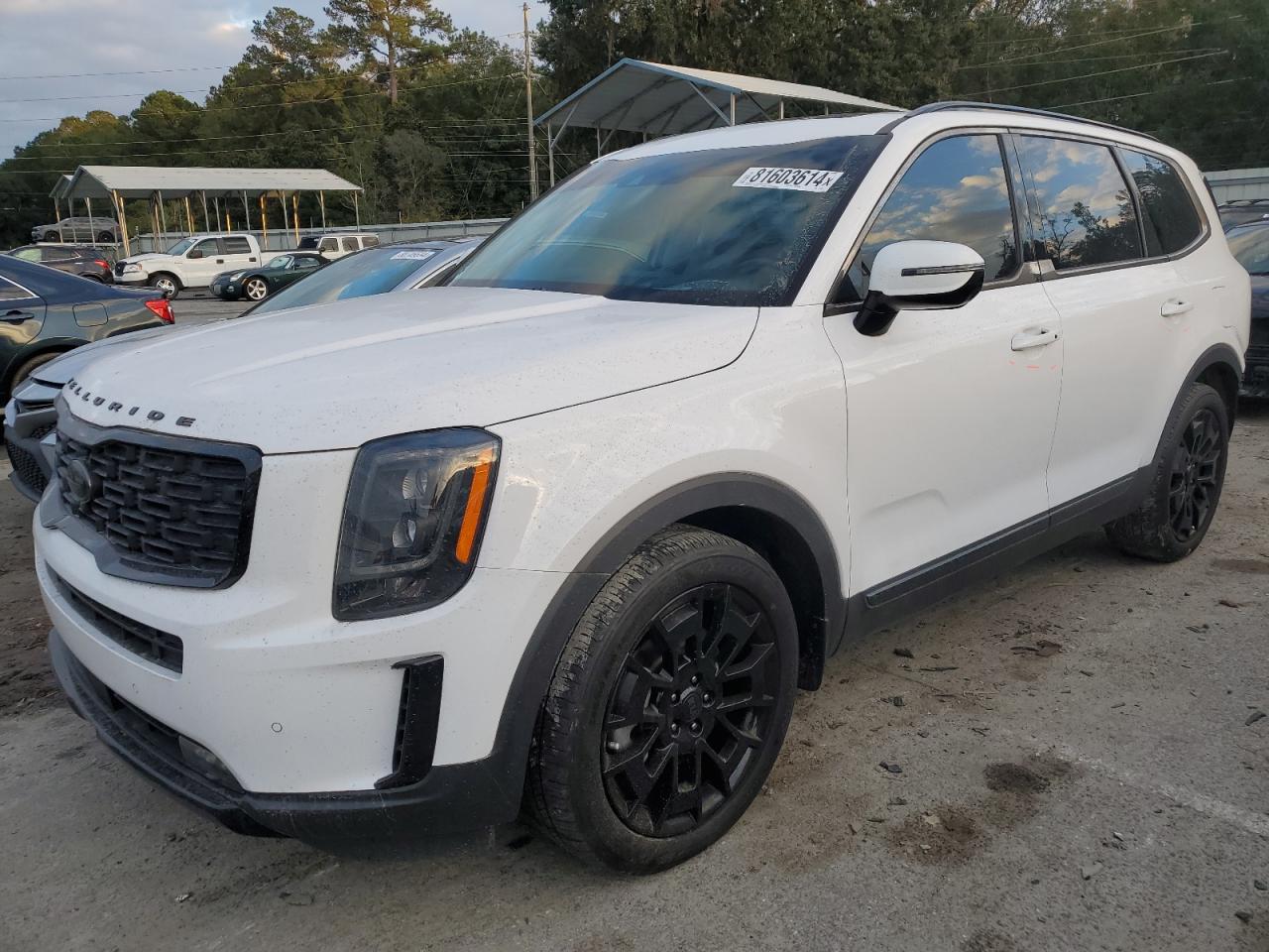 2021 Kia Telluride - Image 1