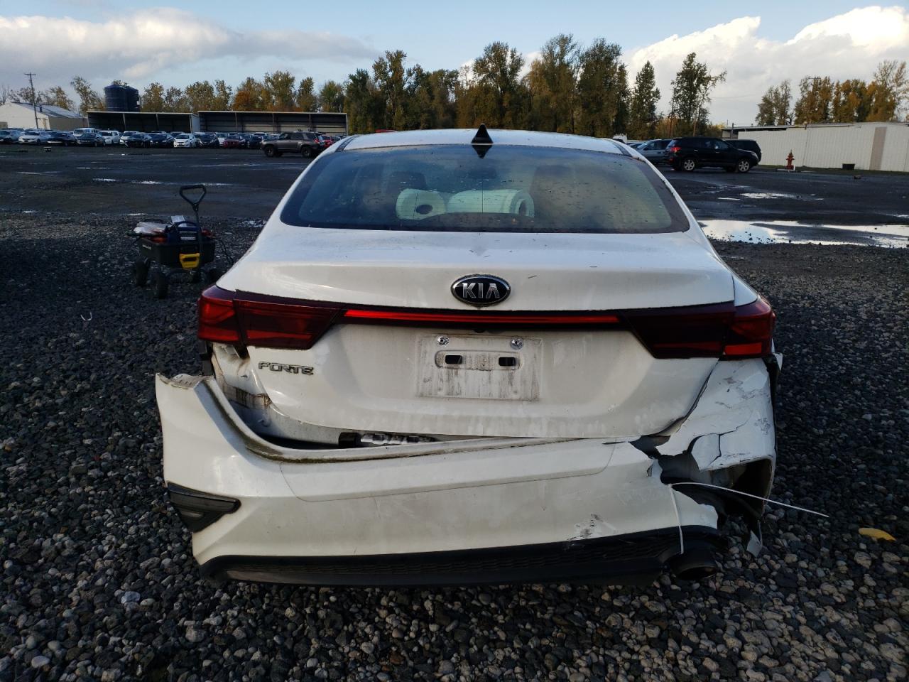 2019 Kia Forte Fe VIN: 3KPF24AD0KE120467 Lot: 79293764