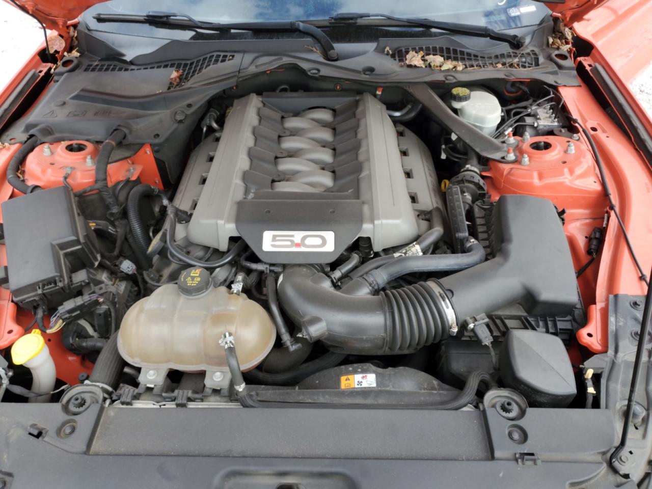 2015 Ford Mustang - Image 13