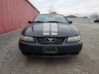 2004 Ford Mustang  продається в London, ON - Minor Dent/Scratches