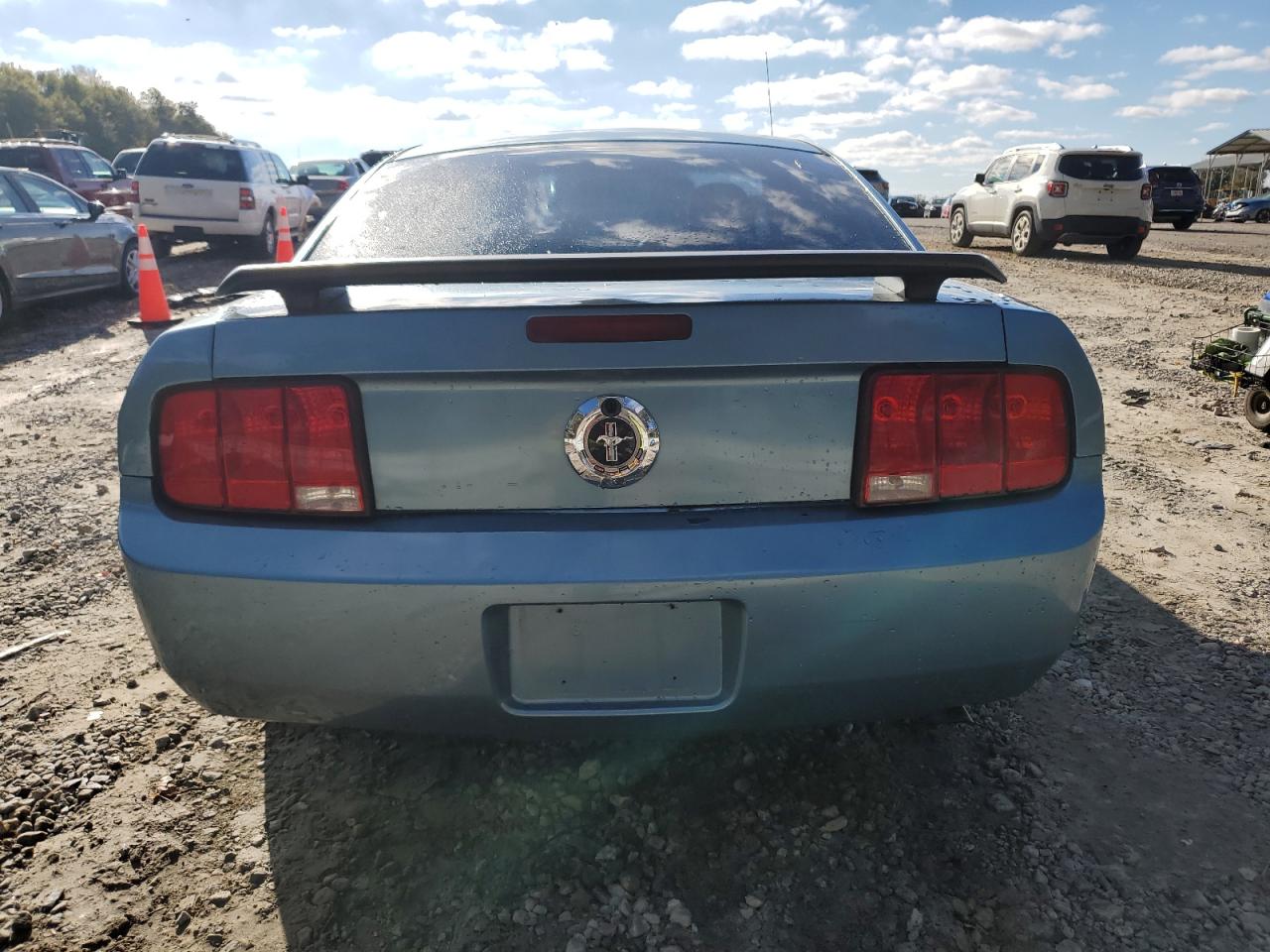 2005 Ford Mustang VIN: 1ZVFT80N955163071 Lot: 81975764