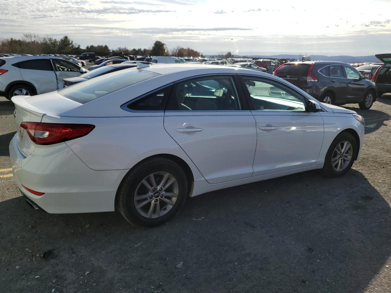 2015 Hyundai Sonata Se VIN: 5NPE24AF1FH147806 Lot: 81116894