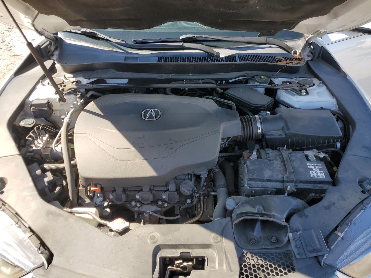 2019 Acura Tlx Technology VIN: 19UUB2F63KA002892 Lot: 80845484