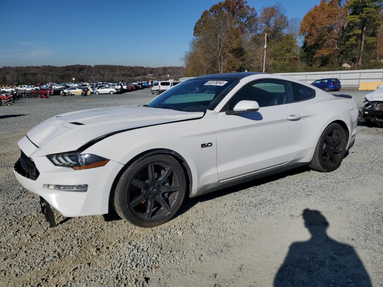 2019 Ford Mustang - Image 1
