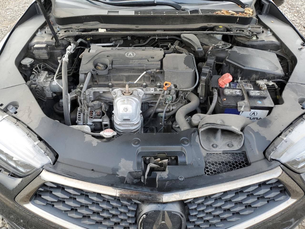 2019 Acura TLX - Image 13