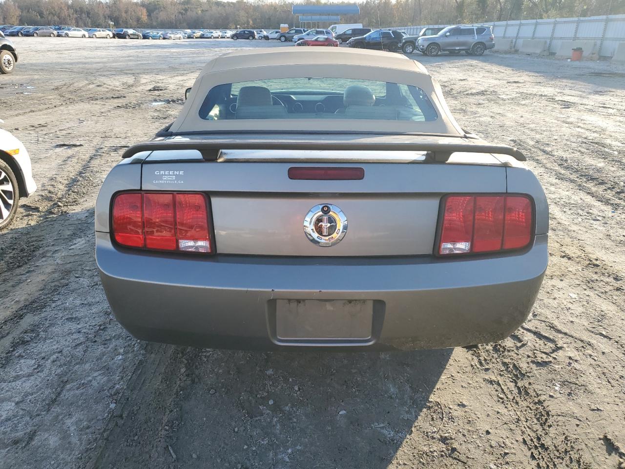 2005 Ford Mustang VIN: 1ZVFT84N755203528 Lot: 80147264