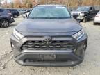 2019 Toyota Rav4 Xle en Venta en Waldorf, MD - Minor Dent/Scratches