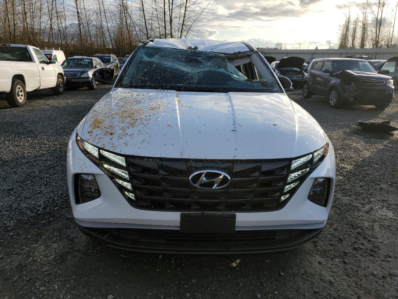 2024 Hyundai Tucson - Image 5