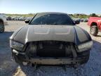 2014 Dodge Charger Se de vânzare în West Palm Beach, FL - Front End