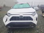 2021 TOYOTA RAV4 LE for sale at Copart NS - HALIFAX