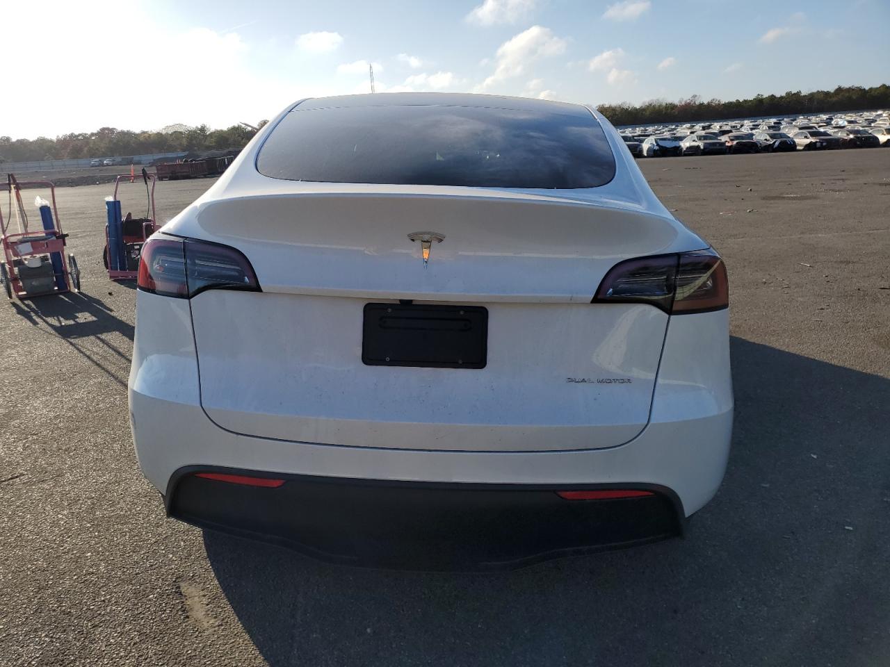 2024 Tesla Model Y VIN: 7SAYGDEE1RF036260 Lot: 78805764