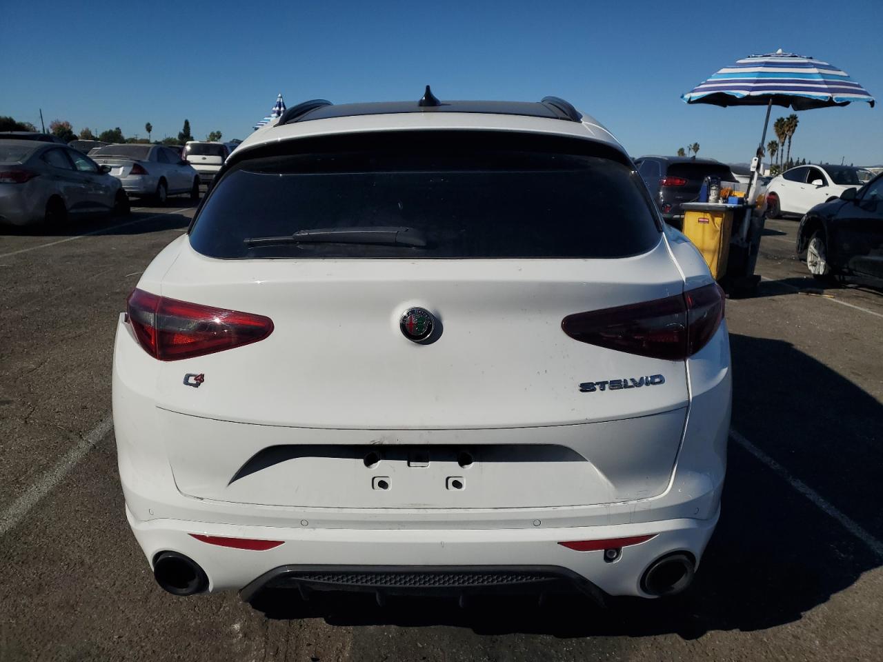 VIN ZASPAKBN3N7D41558 2022 ALFA ROMEO STELVIO no.6