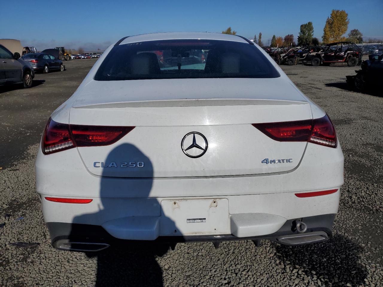 2020 Mercedes-Benz Cla 250 4Matic VIN: W1K5J4HB9LN090438 Lot: 79766164