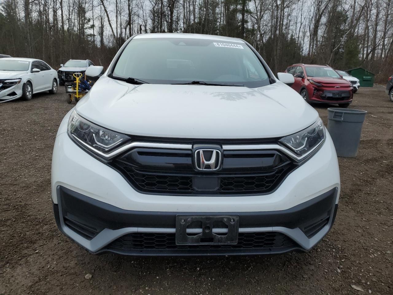 2021 Honda CR-V - Image 5
