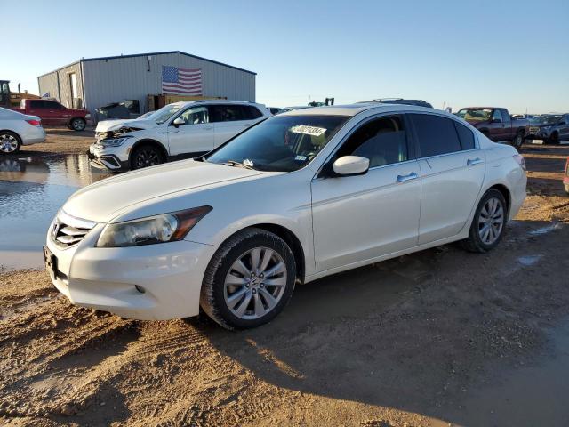 2011 Honda Accord Exl продається в Amarillo, TX - Side