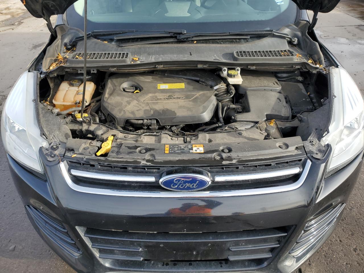 2013 Ford Escape - Image 12