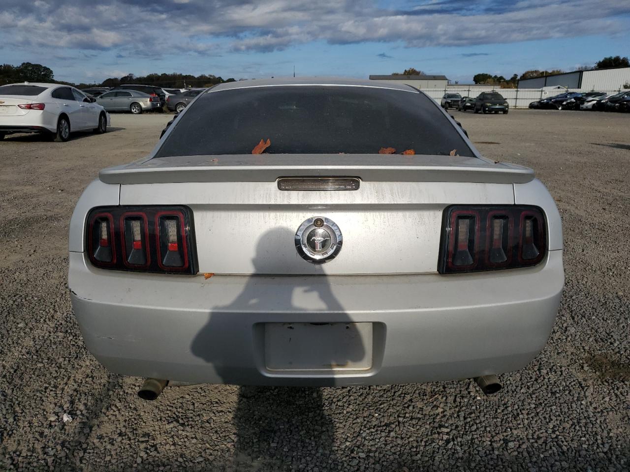 2008 Ford Mustang VIN: 1ZVHT80NX85191135 Lot: 79044484