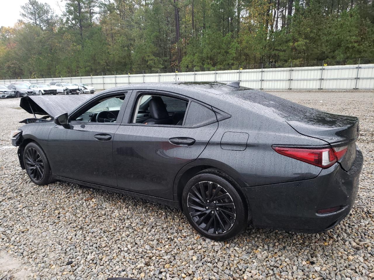 2019 Lexus ES - Image 2