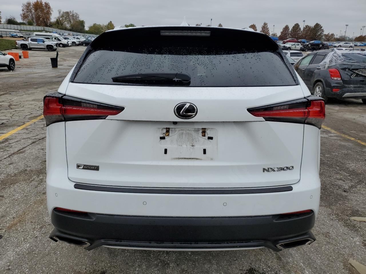 VIN JTJYARBZ2J2116058 2018 LEXUS NX no.6