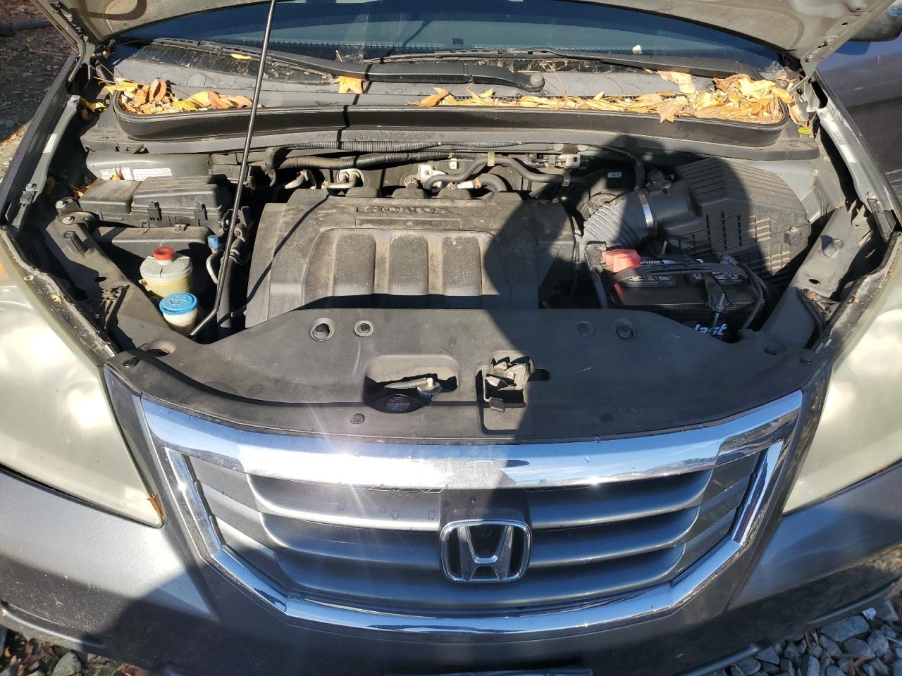 2010 Honda Odyssey - Image 12