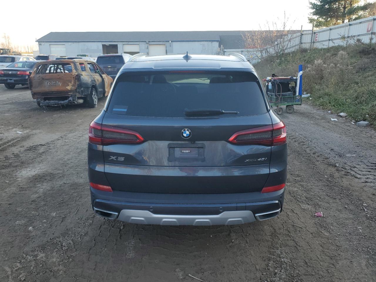 VIN 5UXCR6C09L9B52118 2020 BMW X5 no.6