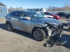 2019 Lexus Nx 300 Base на продаже в Assonet, MA - Front End