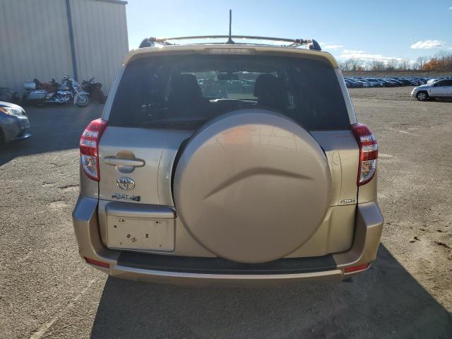  TOYOTA RAV4 2012 Колір засмаги