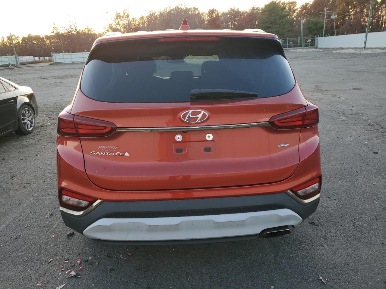 2019 Hyundai Santa Fe Sel VIN: 5NMS3CAD3KH128285 Lot: 80782864