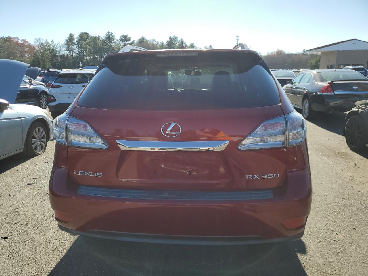 2010 Lexus Rx 350 VIN: 2T2BK1BA8AC040800 Lot: 80118184