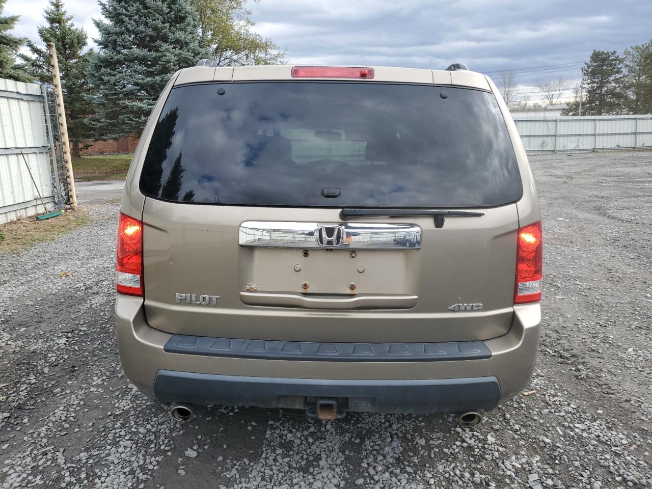 2009 Honda Pilot Exl VIN: 5FNYF48539B028026 Lot: 79911024