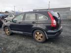 2008 Honda Cr-V Lx na sprzedaż w Elmsdale, NS - Minor Dent/Scratches