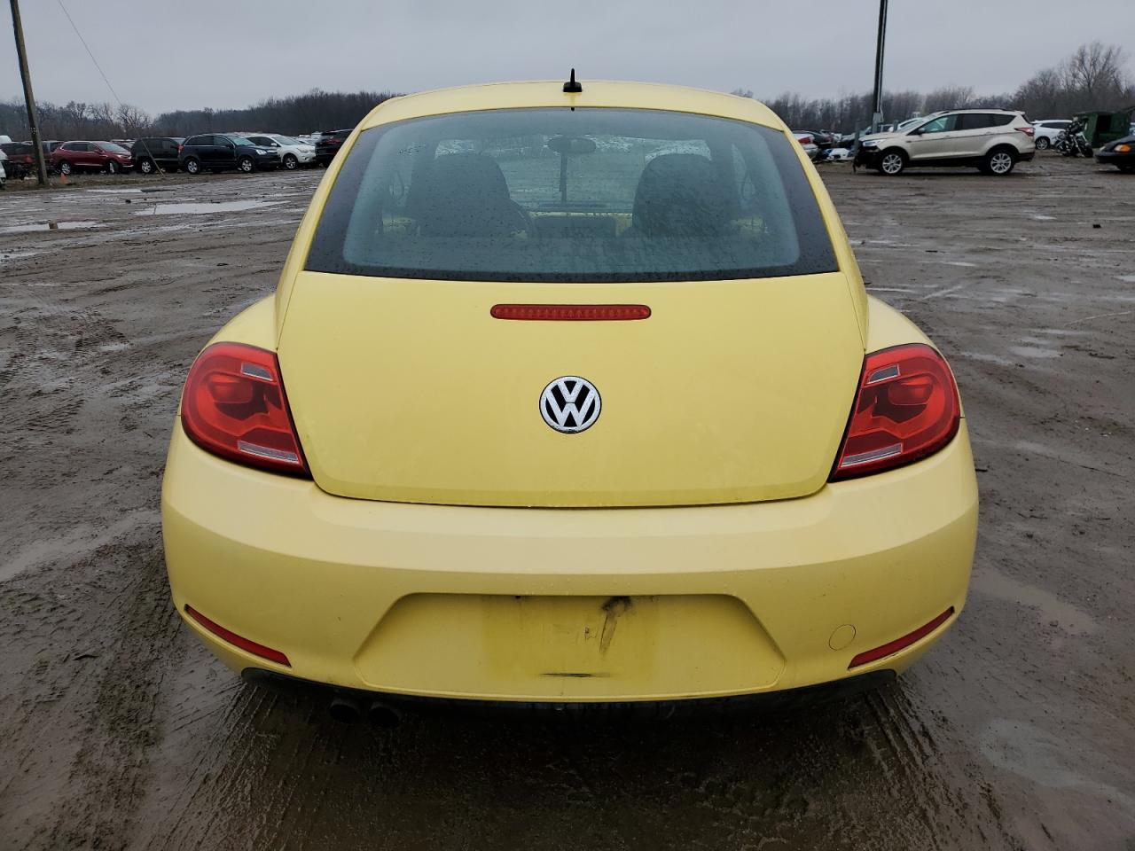 2013 Volkswagen Beetle VIN: 3VWJP7AT3DM679800 Lot: 80745954